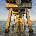 Venice Below the Pier