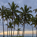 Gathered on the Island