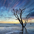 Edisto Morning